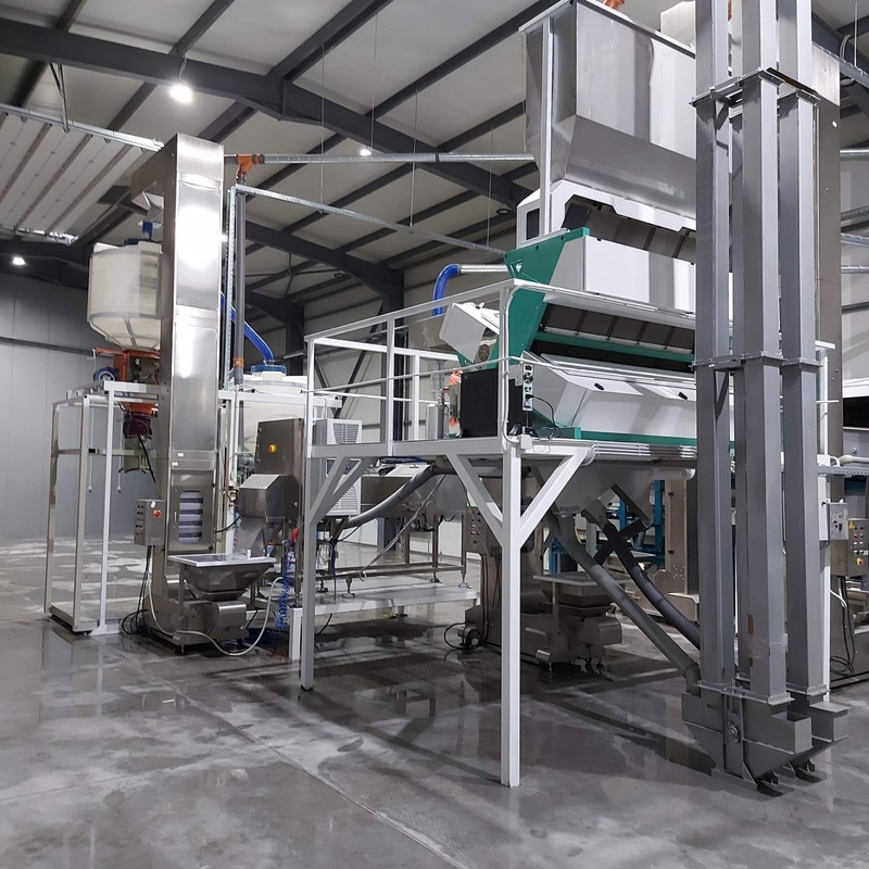 Macadamia Nut Hazelnut Color Sorter Machine And Hazelnut Color Separator Machine for Separate Hazelnut Kernel and Shell