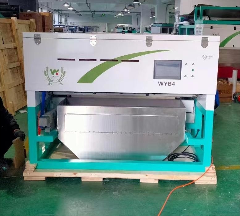 High Accuracy Intelligent WYB4 Belt Garlic Color Sorter Machine with Wifi Remote Control with CE Certificate