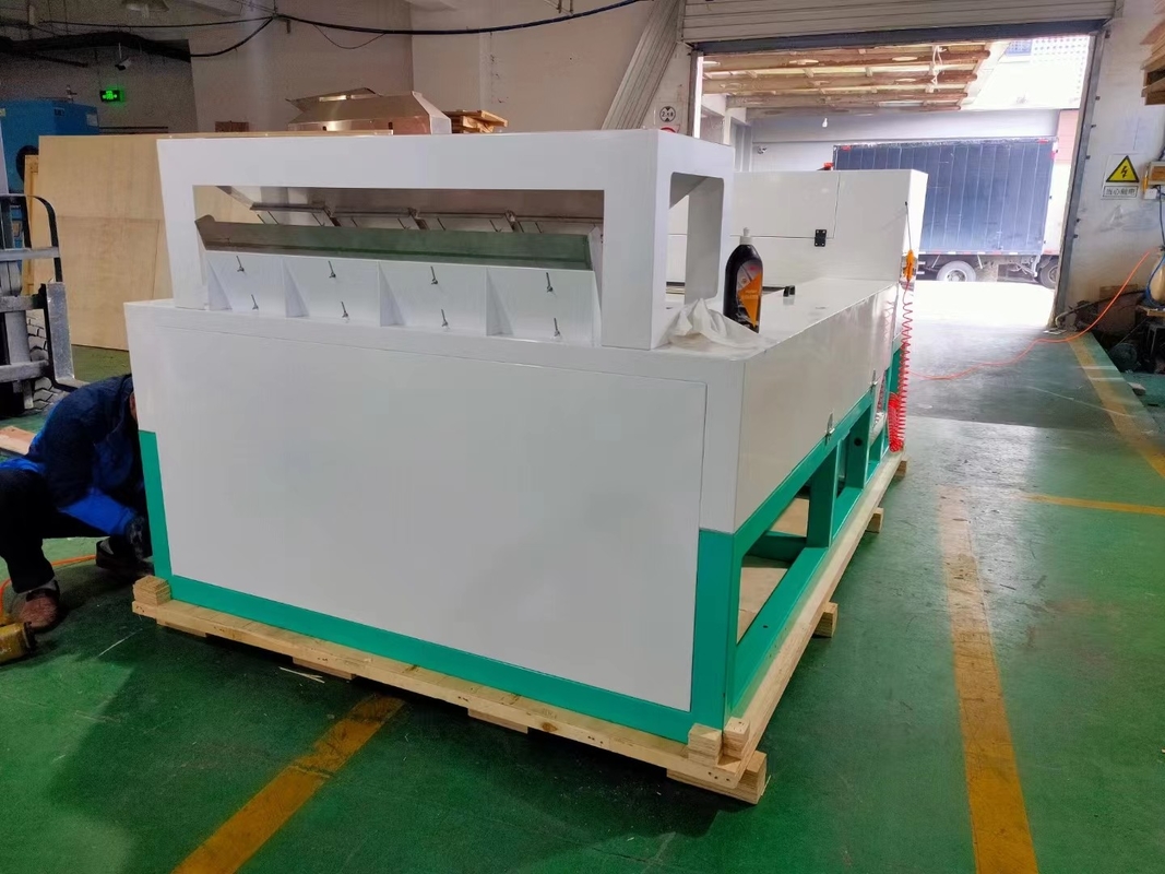 High Accuracy Intelligent WYB4 Belt Garlic Color Sorter Machine with Wifi Remote Control with CE Certificate