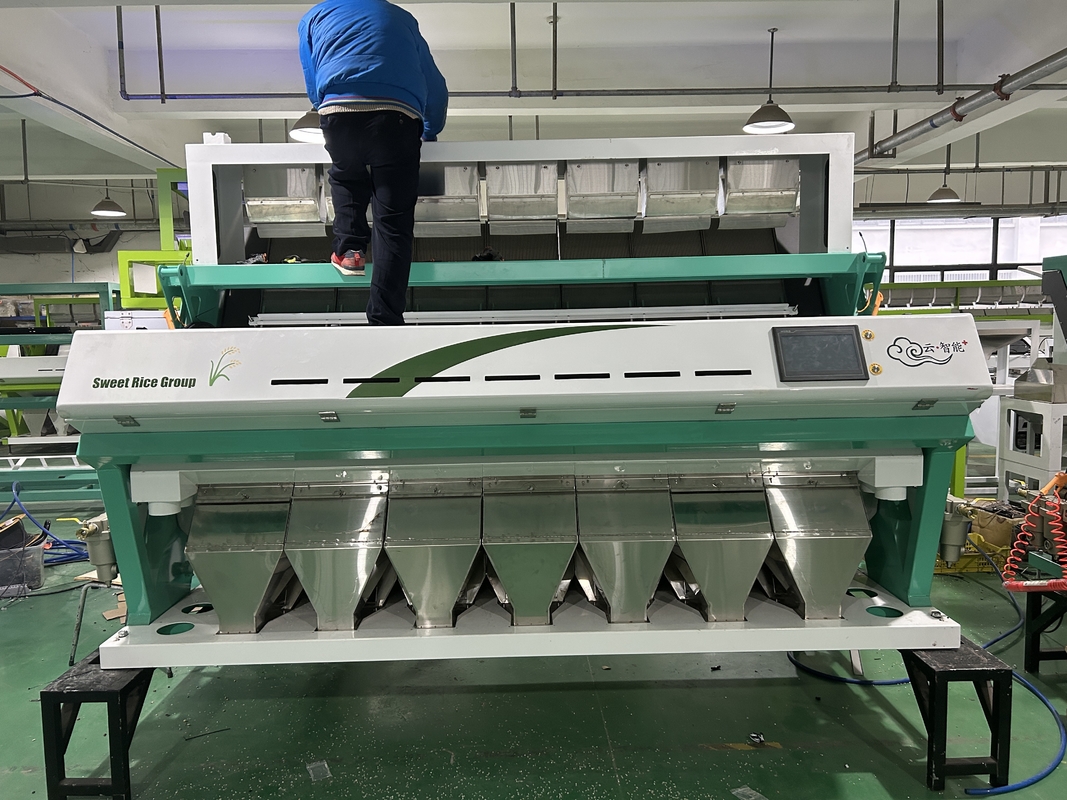High Accuracy Optical Beans Color Sorter Machine With CCD Camera