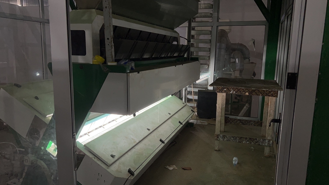 Stainless Steel Material Beans Color Sorter With 8 Chutes 4 - 5t/H