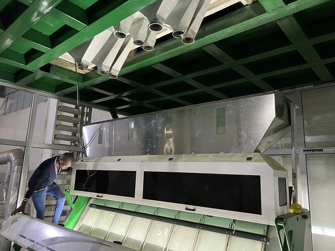 Green Raw Coffee Beans Color Sorter Machine For Roasted Coffee Beans Sorting
