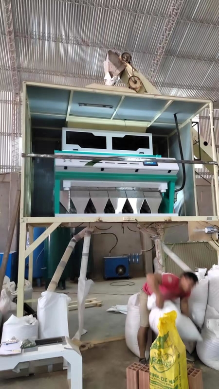 5 Chutes Moldy Wheat Color Sorter Machine Removing Mildew Wheat Optical Grain Color Sorter For Wheat Grader Separator