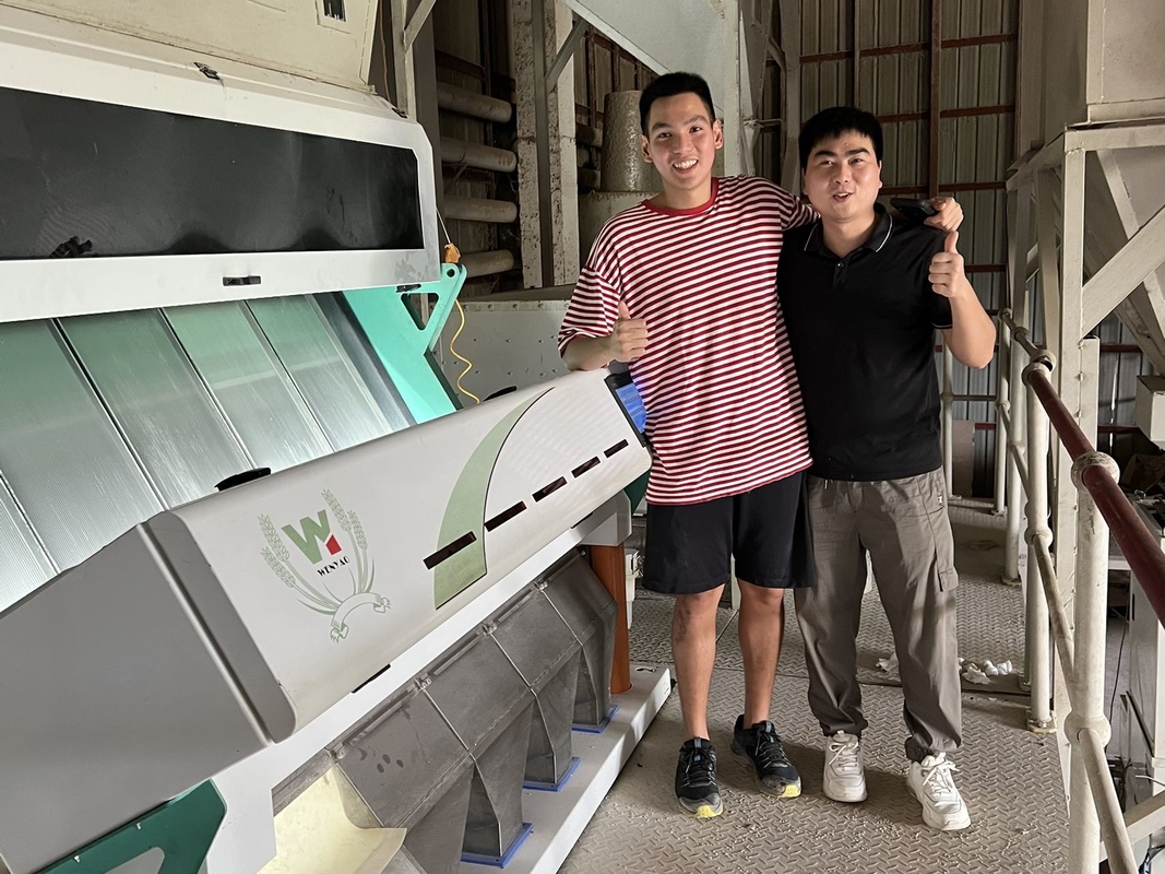 5 Chutes Moldy Wheat Color Sorter Machine Removing Mildew Wheat Optical Grain Color Sorter For Wheat Grader Separator