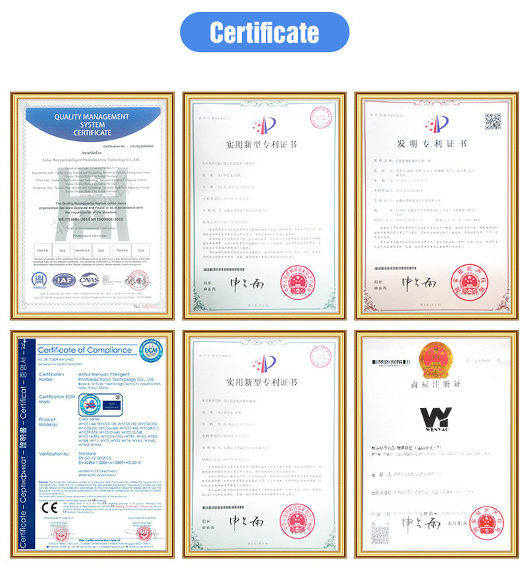 WENYAO ABS PP PE PVC Recycling Machine AI Technology Color Sorter Machine Plastic