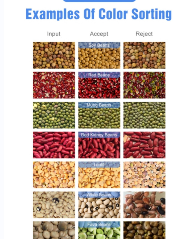 Deep Learning Stainless Steel Beans Color Sorter Machine With 99.9% Sorting Accuracy
