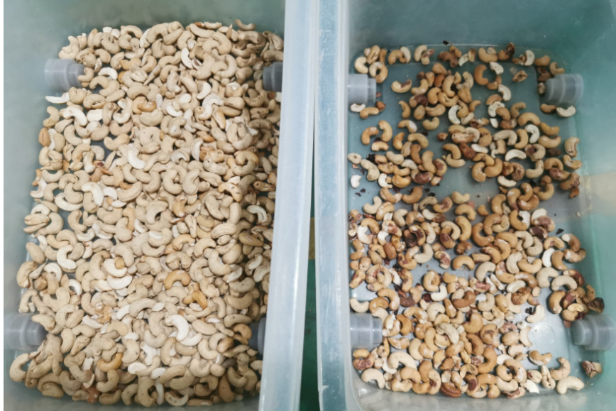 Sunflower Seeds Color Sorter Machine For Sorting Pistachio Cashew Nut Color Sorter Machine