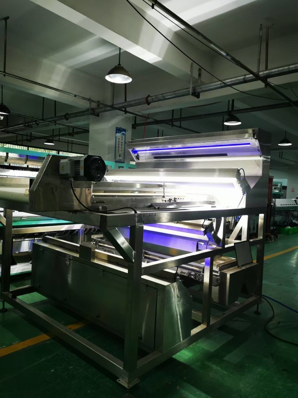 Waterproof Belt Color Sorter For Coffee Cherries Silkworm Chrysalis Frozen Vegetables