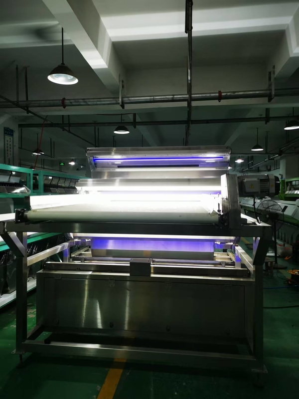 Waterproof Belt Color Sorter For Coffee Cherries Silkworm Chrysalis Frozen Vegetables