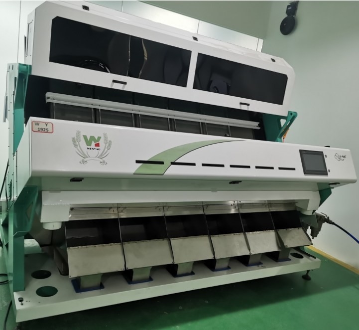 Sunflower Seeds Color Sorter Machine Sunflower Seeds Processing Machine