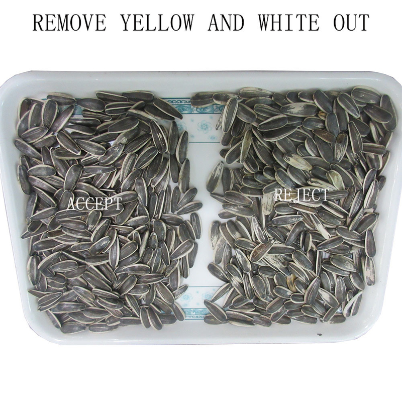 Sunflower Seeds Color Sorter Coffee Bean Wheat Rice Color Sorter