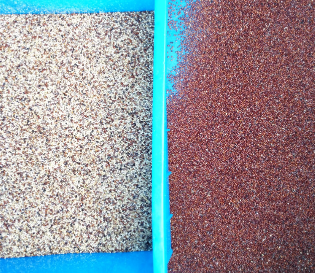 Raspberry Color Sorter Color Sorting Machine Grain Rice Wheat Coffee Bean Nuts Color Sorter for Frozen Strawberry Blueberry