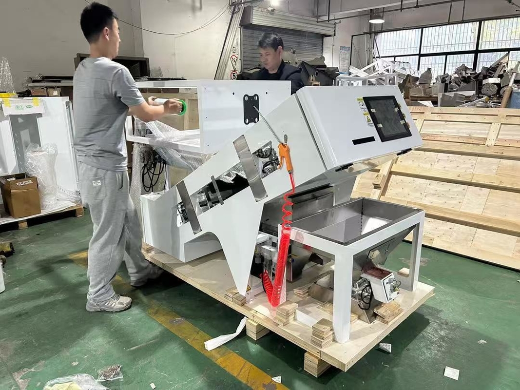 SUPERB BELT COLOR SORTER FOR SORTING CHERRY COFFEE