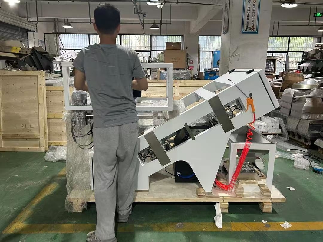 SUPERB BELT COLOR SORTER FOR SORTING CHERRY COFFEE