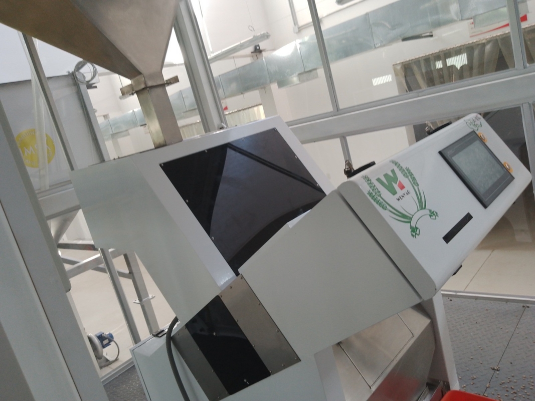 Latest Version Onion Seeds Color Sorter With 99.9% Accuracy