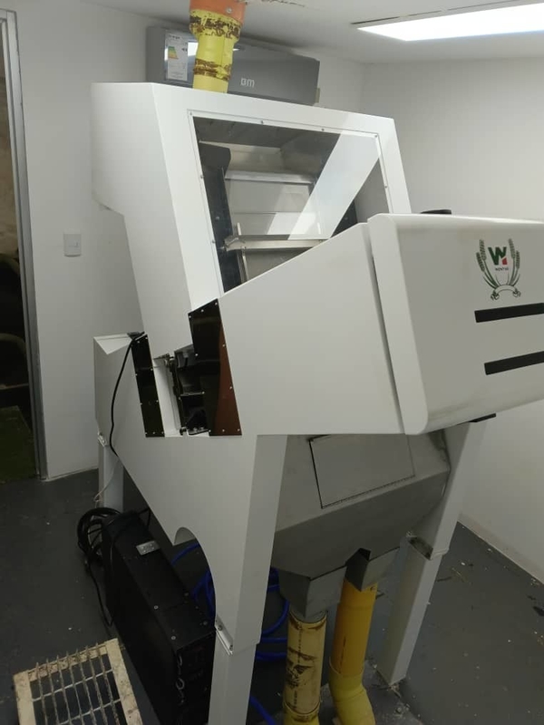 Wenyao 1 Chute Fruit Color Sorter Sea Buckthorn Color Sorting Machine