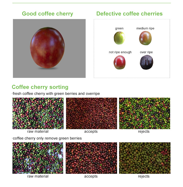 Mini Belt Cranberry Blueberry Color Sorter High Coffee Cherry Color Sorter Machine