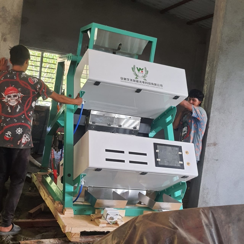 High Efficiency CE Certification Optical Sorter Tea CCD Color Sorting Machine