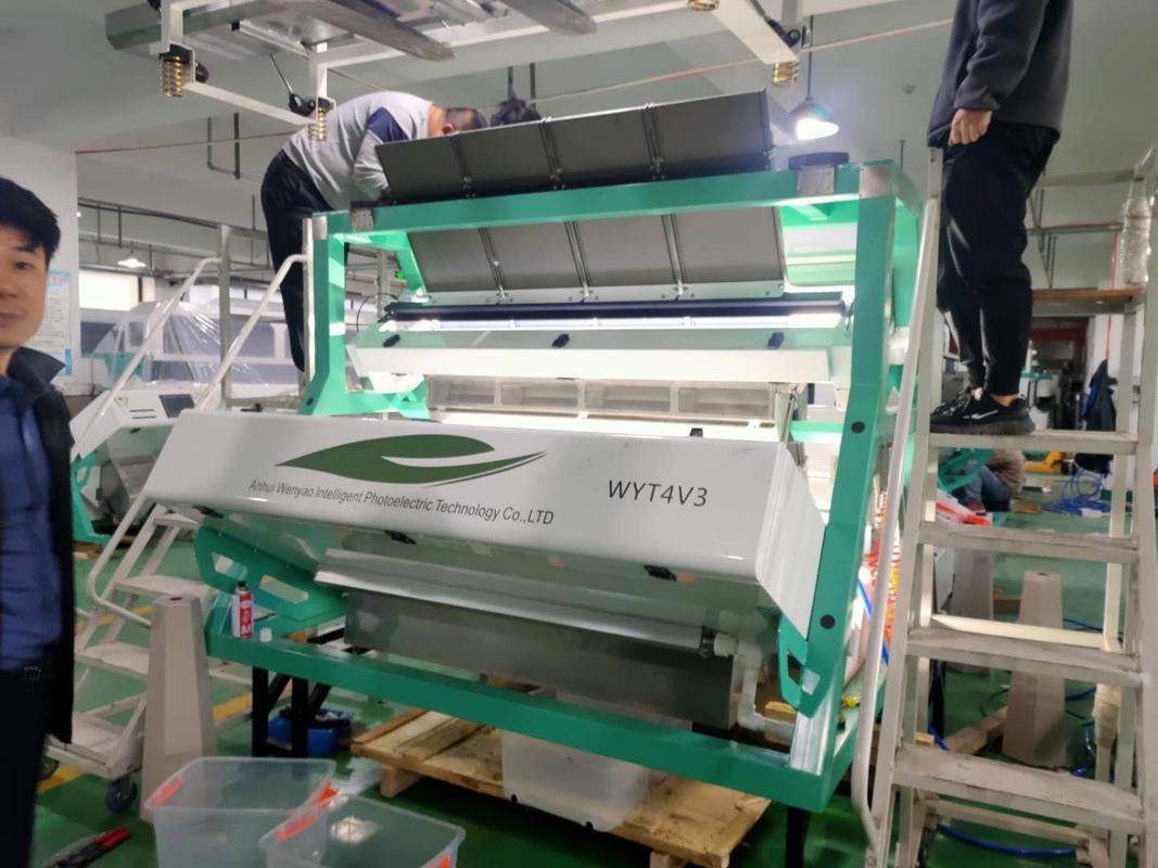 Wenyao CCD Tea Grading Machine For Black Tea  Green Tea Color Sorting Machinery Removing Tea Leaf Branch Impurity