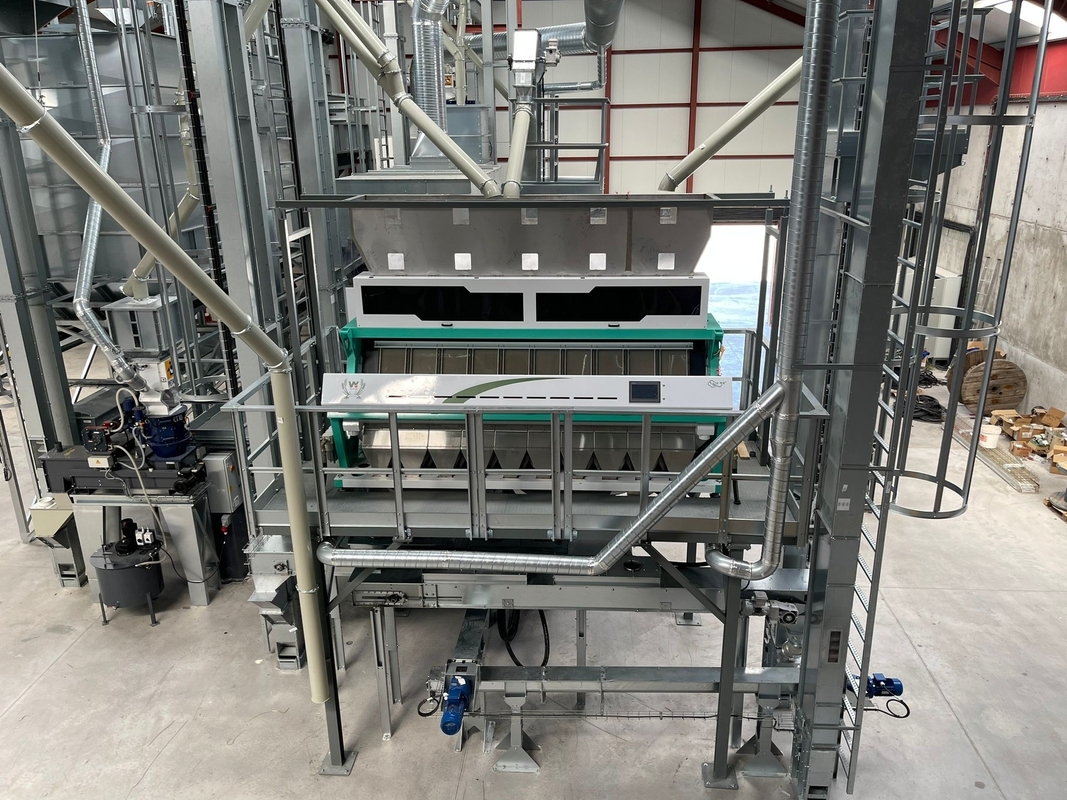 Wenyao Automatic Rice Color Sorter Machine Grain Color Separation 10 Chute