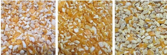 10 Chutes Color Sorter Multifunctional Grain Sorting Machine For Cereal Processing Plant Made In China
