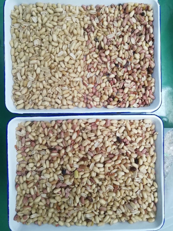 Precise Color Sorter For A Wide Range Of Bulk Stock Based On Product Analysis By Color