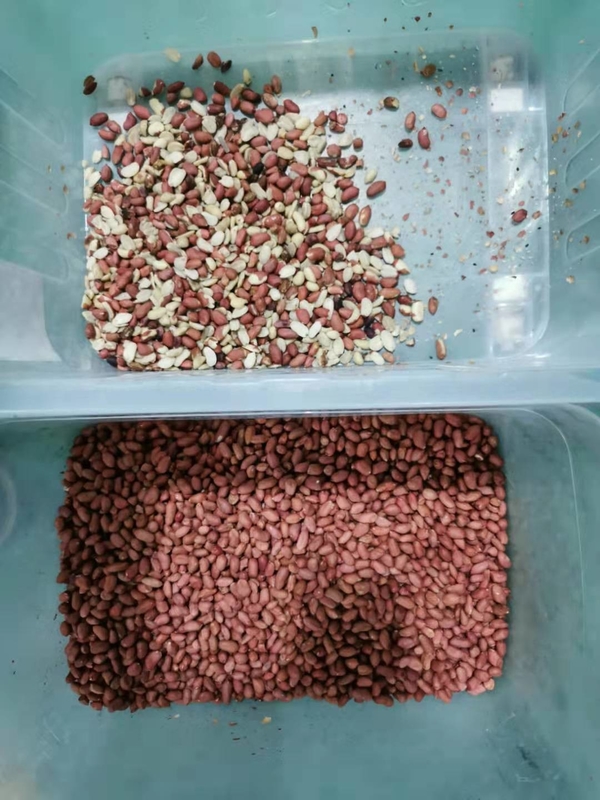 CCD Camera Rice Color Sorter Intelligent Sorting Machine For Agriculture