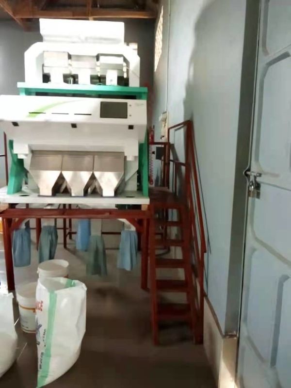 WENYAO Bread Worm Color Sorting Mealworm Sorting Machine