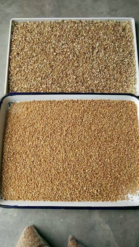 China Color Sorter Rice Wheat Optical Wenyao Color Sorting Machinery High Precision Ccd Camera 320 Channels