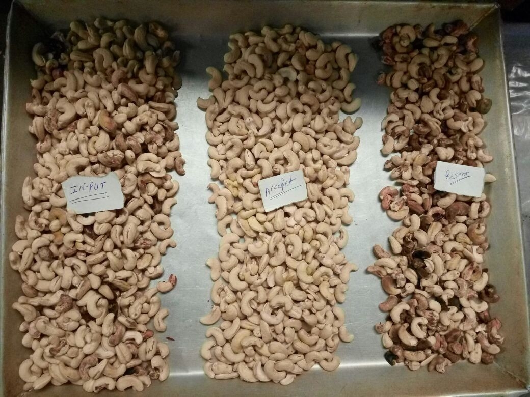 Wenyao Macadamia Color Sorter Nuts Color Selector Machine Cashew Nuts Sorting Machine