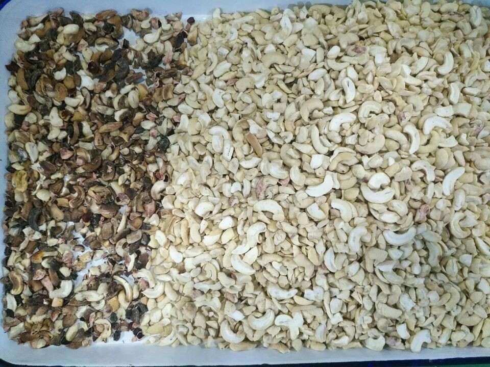 Wenyao Macadamia Color Sorter Nuts Color Selector Machine Cashew Nuts Sorting Machine