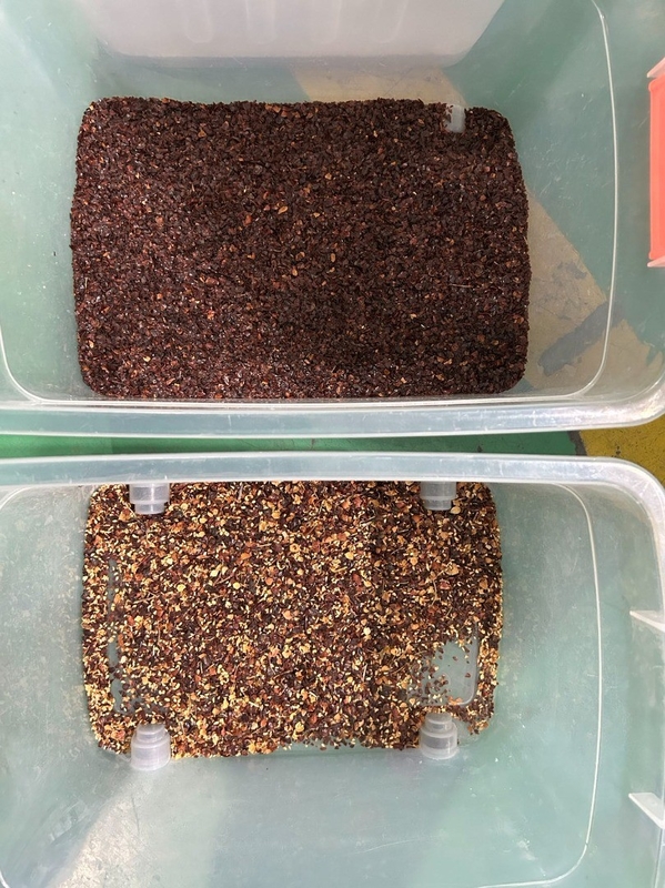 WENYAO Seed Color Sorting Machine With 99.99% Sorting Accuracy