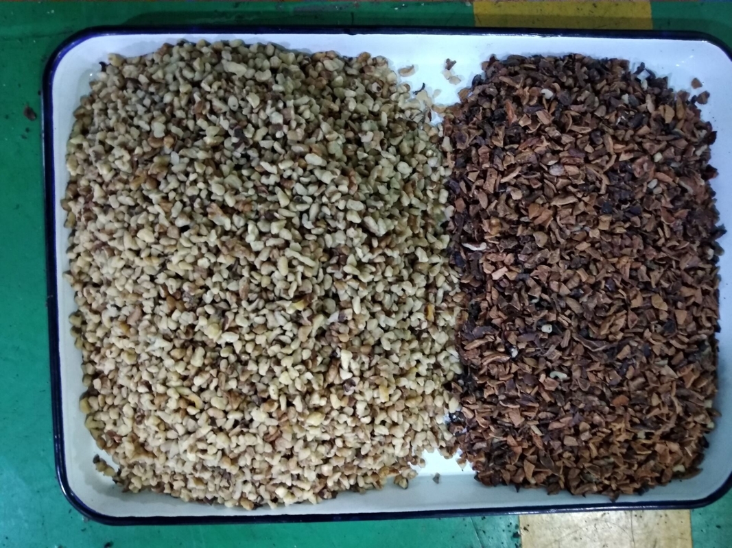 Wenyao 2 Chutes Walnut Color Sorter Machine Size Shape Sorting With CE Certificate