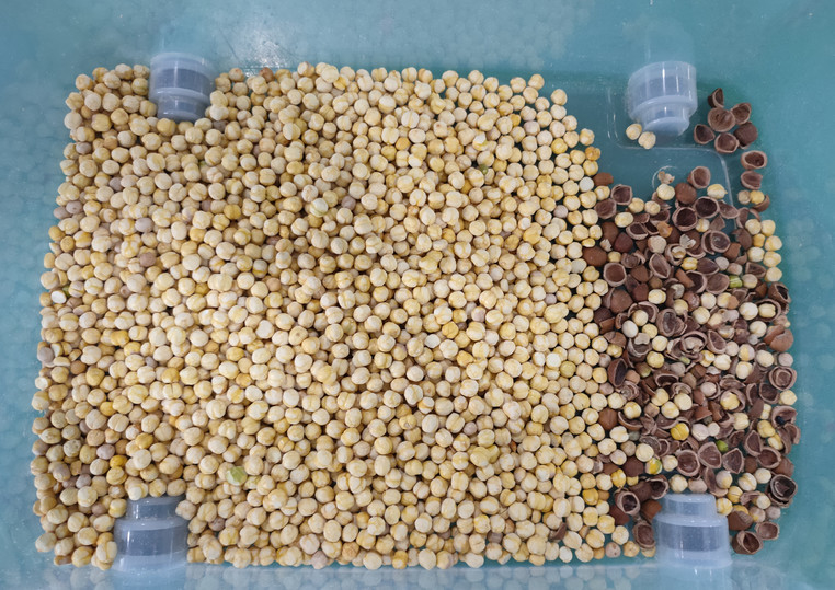 China Optical Multi-usage Color Sorter For Sorting And Grading Of White Sesame Black Sesame Flaxseed Black Seed