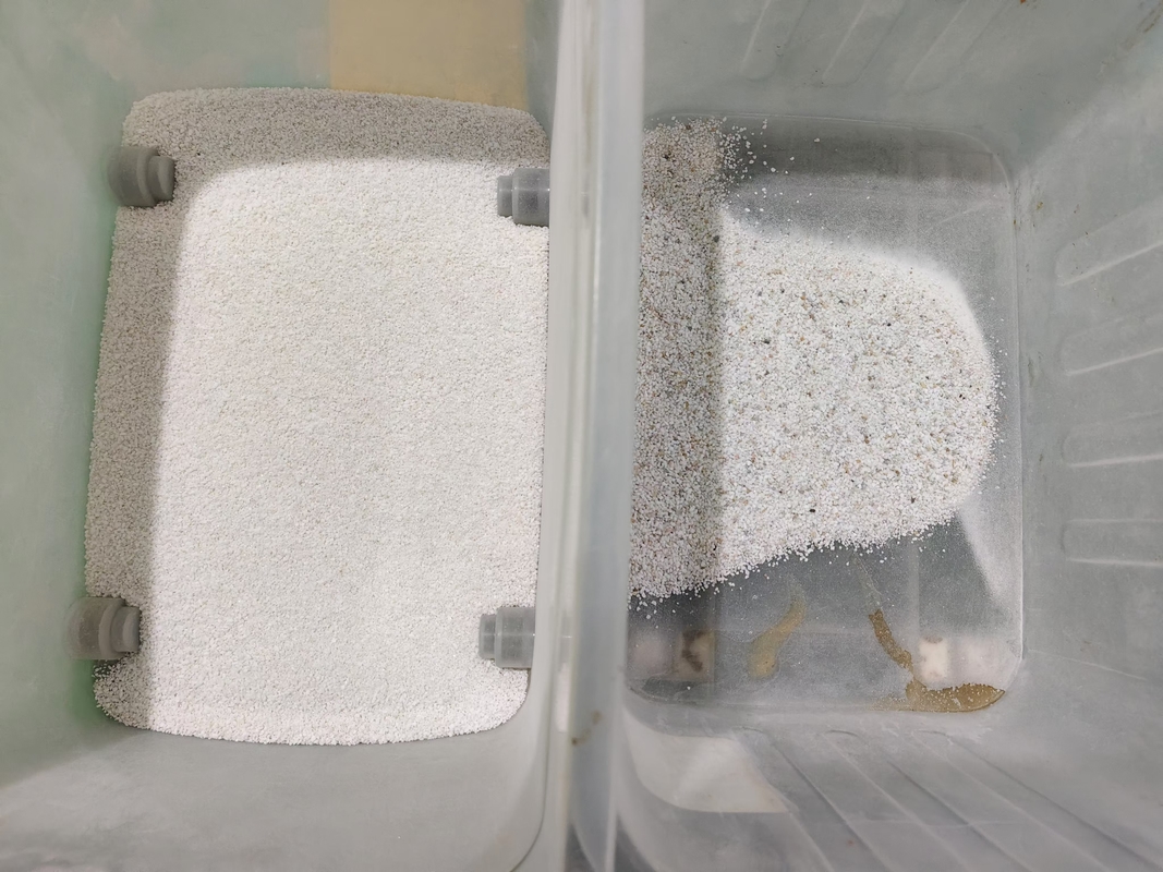 Stainless Steel Hoppers Wet Salt Color Sorter Machine With Full Ccd Camera