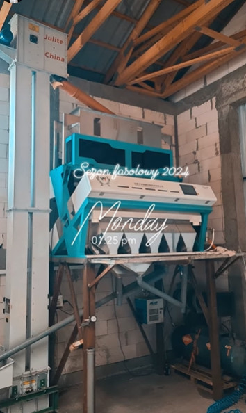 Multifunction Grain Glutinous Rice Pepper Seed Color Sorter Color Sorting Machine Coffee