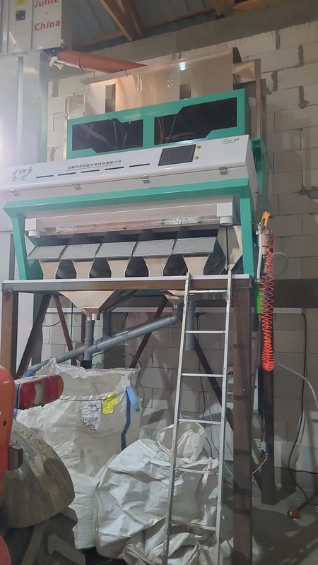 Multifunction Grain Glutinous Rice Pepper Seed Color Sorter Color Sorting Machine Coffee