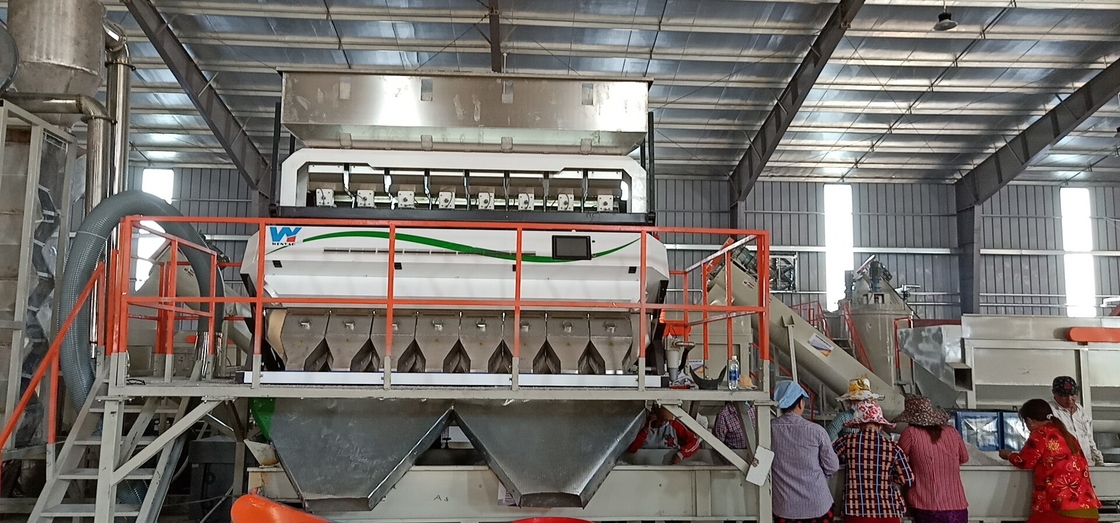 Multifunction Pepper Red Chili Color Sorter Machine with Air Pressure 0.6-0.8MPa