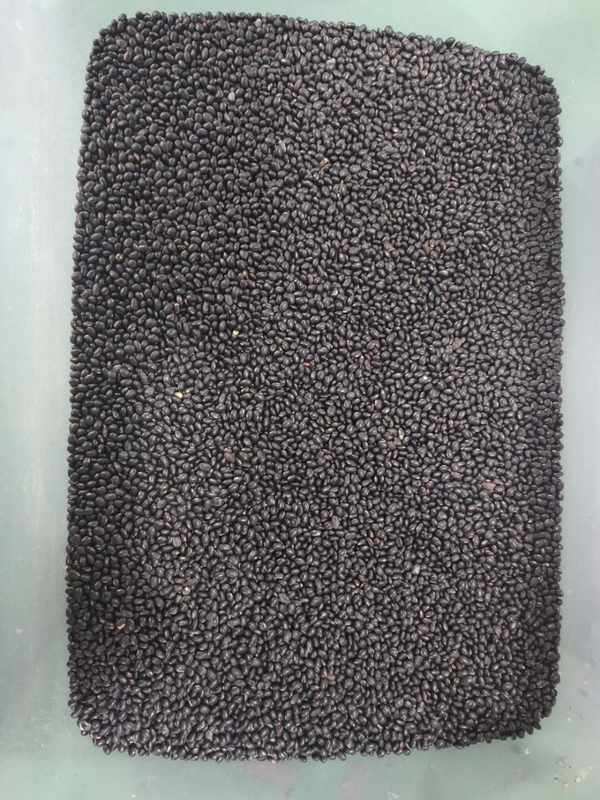 Wenyao Black Bean Color Sorting Machinery Multifunction Beans Color Sorter