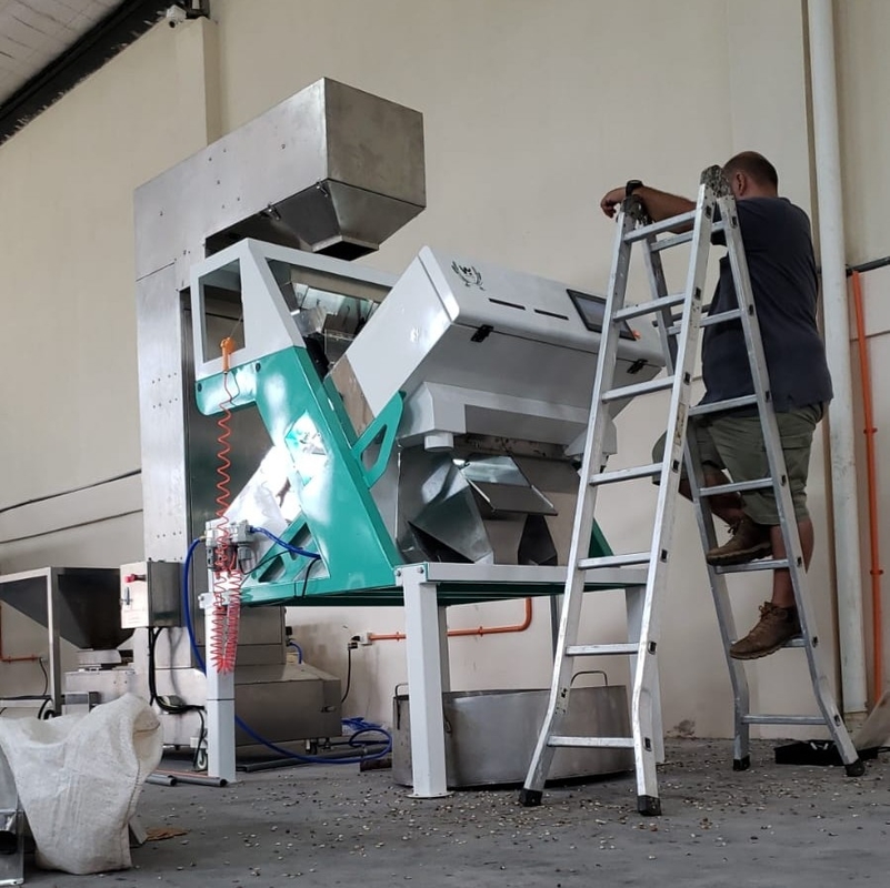 Wenyao Chinese Factory Nuts Color Sorting Machine Automatic Raisin Color Sorter