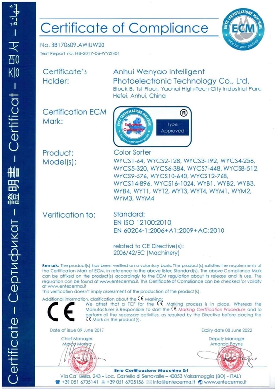 Wenyao CCD Camera Mung Bean Color Sorter Intelligent Color Sorting Machine