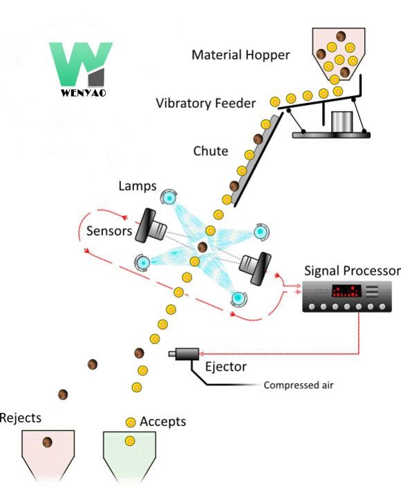 Wenyao CCD Camera Black Bean Color Sorter Automatic Color Sorting Machine
