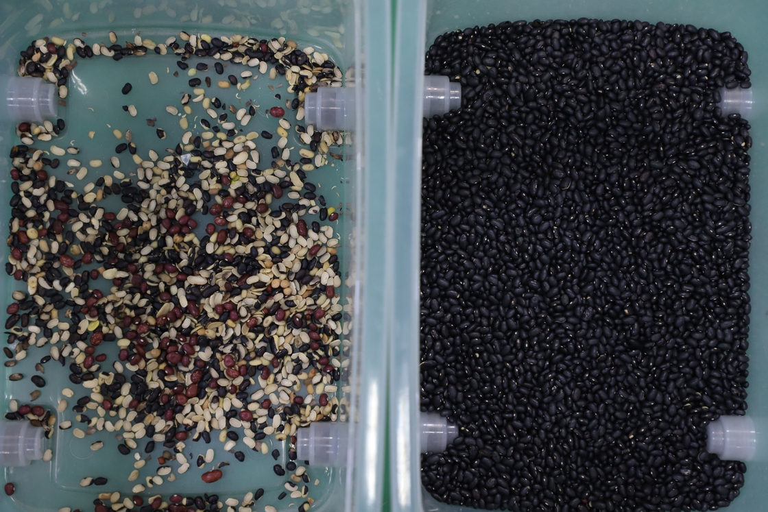 Wenyao CCD Camera Black Bean Color Sorter Automatic Color Sorting Machine
