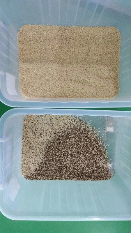 Wenyao 500-1500kg/h Coffee Beans Rice Garin Color Optical Sorting Cereal Color Sorter Machine