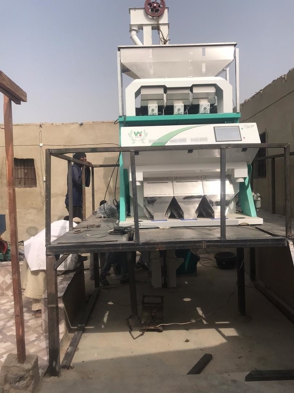 Wenyao Chickpea Color Sorter CCD Camera Beans Color Sorting Equipment