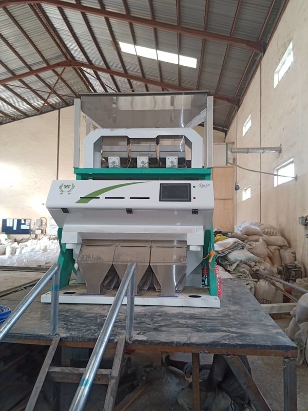 Wenyao Hazelnut Color Sorter CCD Camera Nuts Color Sorting Equipment