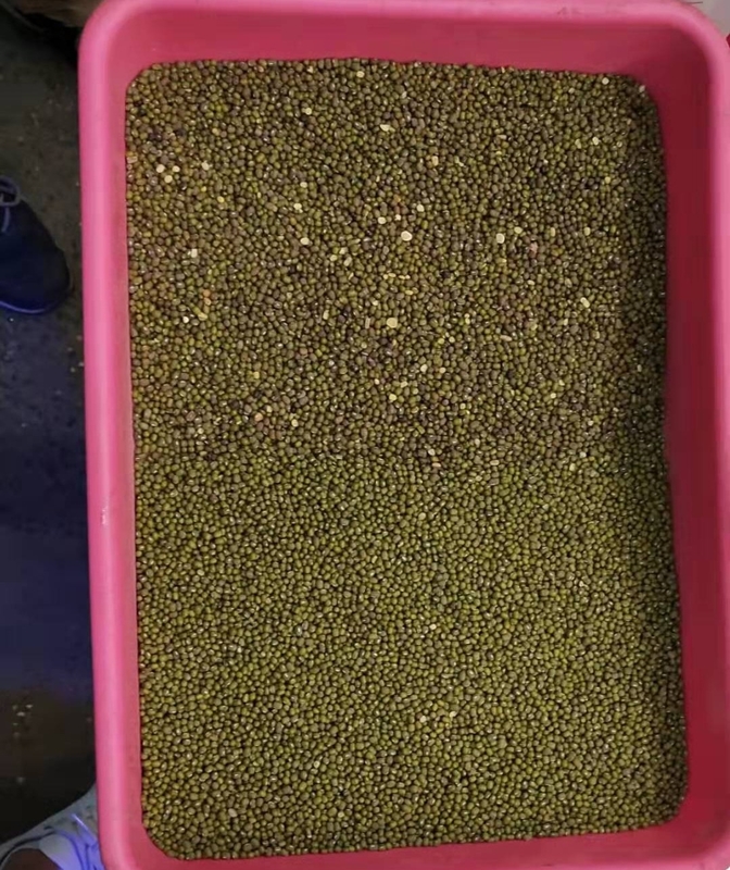 Wenyao Mung Bean Color Sorting Machine Intelligent Beans Color Sorter With Remote Control