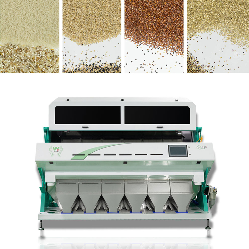 Wenyao Intelligent CCD Camera 6 Chute Color Sorter Sesame Color Sorting Machine