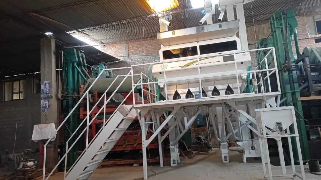 Wenyao Intelligent CCD Camera 6 Chute Color Sorter Sesame Color Sorting Machine