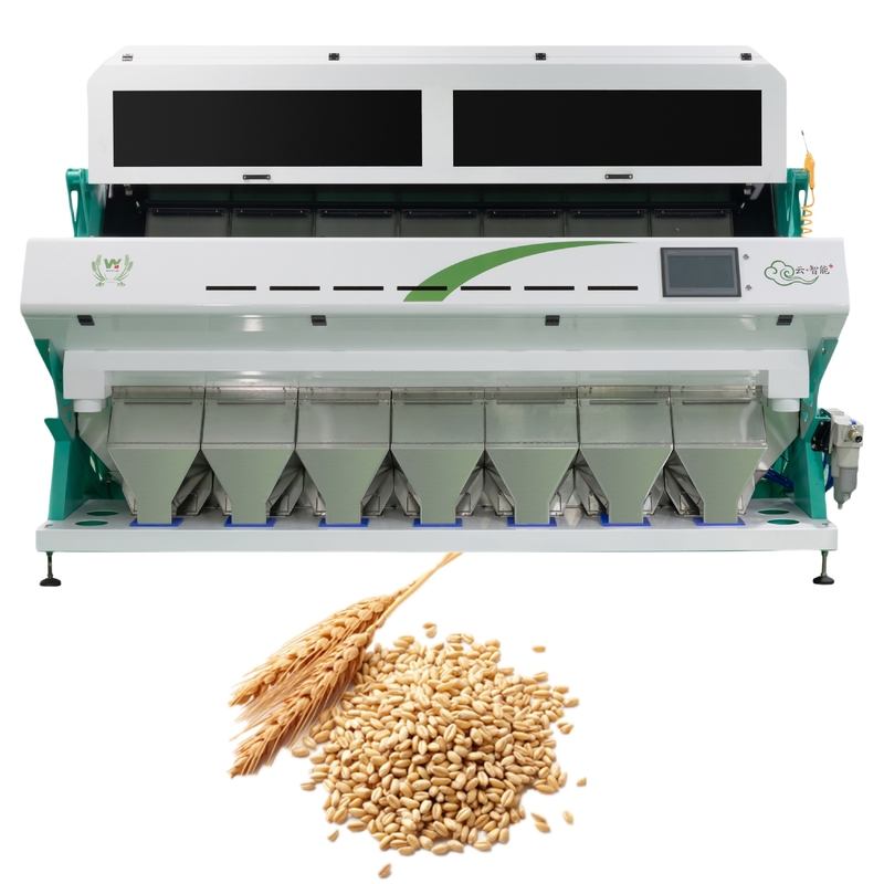 Wenyao Intelligent 7 Chute Color Separation Machine Wheat Color Sorter